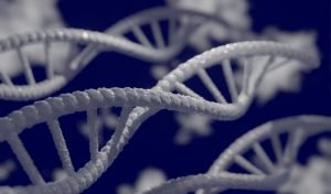 Read more about the article How Your Genes Affect Your Weight