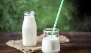 Read more about the article The Vitality of Protein in Your Diet