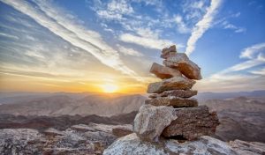 Read more about the article Subtle Signs of Stress