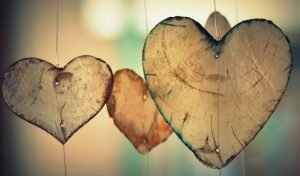 Read more about the article Alevia Core Value #1 – Humanity