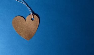 Read more about the article Alevia Core Value #5 – Love What You Do