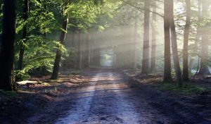Read more about the article Coping with Mental Health Issues in COVID-19