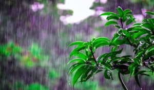 Read more about the article Calming The Storm: Managing Acute Distress and Anxiety